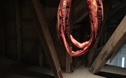 2018-05%20H%C3%A5%20silke%20sirkel%208550